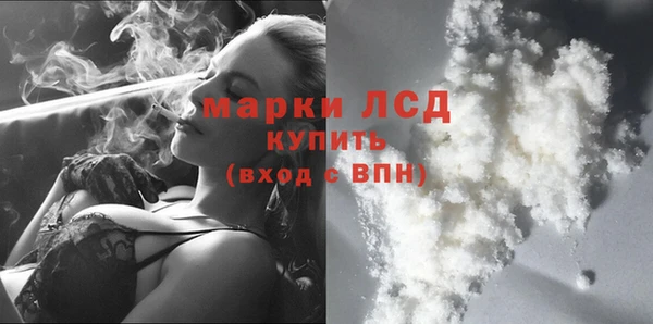 spice Новозыбков