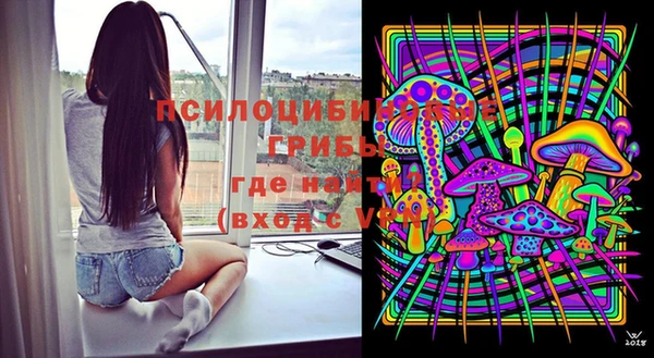 дживик Нязепетровск